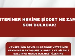 Veteriner Hekime Sopa ve Ateşli Silahla Saldırı