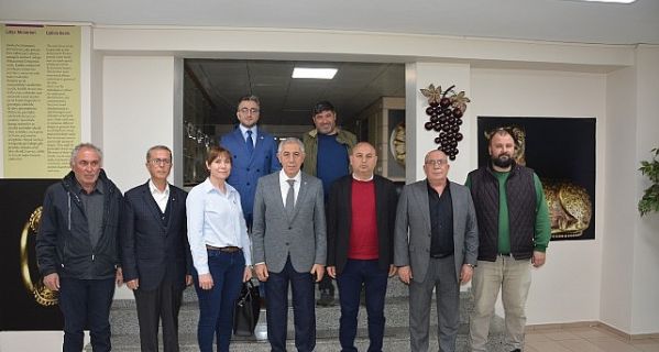 Salihli zeytinyağı için coğrafi işaret hazırlığı