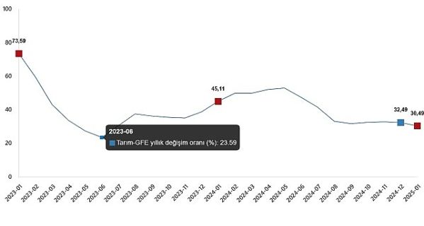 Tarımsal Girdi Fiyat Endeksi, Ocak 2025
