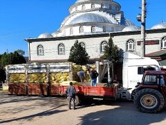 Büyükşehir, tarımın gücüne güç katıyor