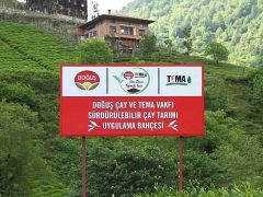 Doğuş Çay ve TEMA Vakfı’ndan sağlıklı topraklar ve sürdürülebilir çay tarımı için ortak adım