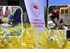 Beydağ’da Kozalar İpek Açtı