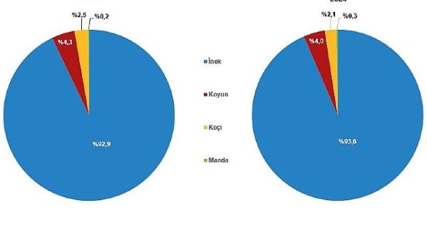 Çiğ Süt Üretim İstatistikleri, 2024