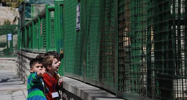 Minikler Can Dostlarla Tanıştı