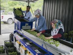 Büyükşehir’in Makine Desteğiyle Üretici Güçleniyor, Kırsal Kalkınıyor