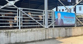 Büyükşehir’in modern mezbahasında kurbanlar kesiliyor