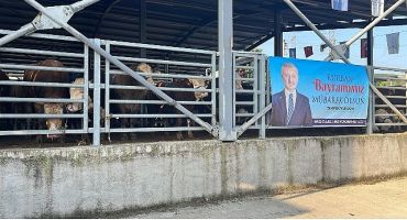 Büyükşehir’in modern mezbahasında kurbanlar kesiliyor