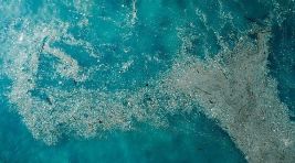 Doğayla Uyumlu Yaşamalıyız: Plastik Kirliliğine Son Ver, Yaşamı Koru!