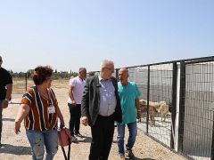 Edremit Belediyesi can dostlara sahip çıkıyor