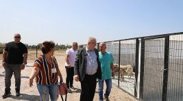 Edremit Belediyesi can dostlara sahip çıkıyor