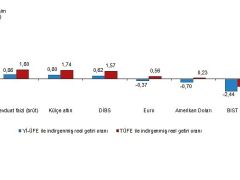 Finansal Yatırım Araçlarının Reel Getiri Oranları, Mayıs 2025