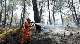 Hasat Mevsiminde Orman Yangını Alarmı