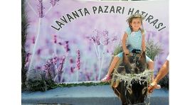 Mis Gibi Şenlik: Seferihisar’da Lavanta Büyüsü Başlıyor